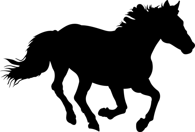Cheval galopant